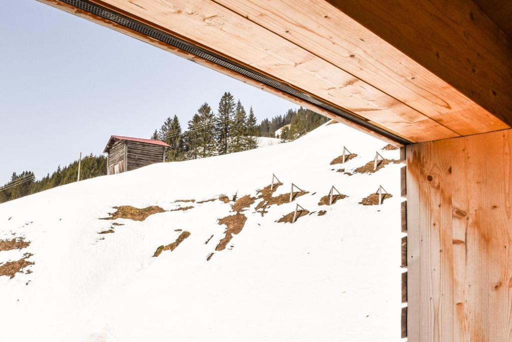 Haus Alpenblick Apartment Schroecken Luaran gambar